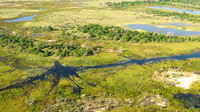 Okavango Delta 1