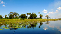 Okavango Delta 2