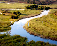 Kwando River 1