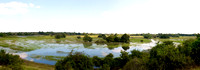 Okavango River Floodplain