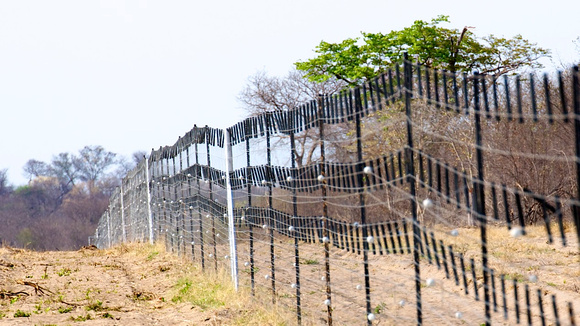 Veterinary Cordon Fence 2