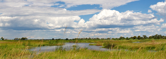 Mamili (Nkasa Lupala) National Park 2