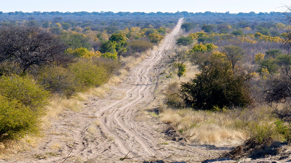 Makgadikgadi Pans National Park